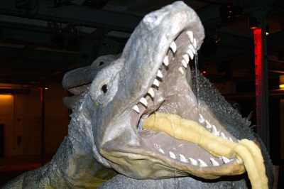 Komodowaranzweikampf