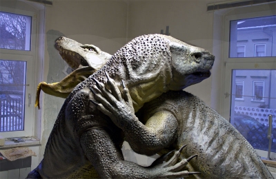 Komodowaranzweikampf