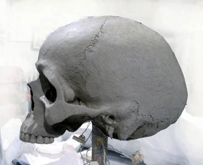 Schaedel, Tonmodell des Schaedels aus Hartschaum 